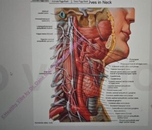 spondiloza cervicală
