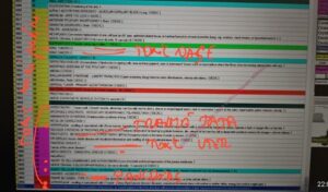 Stare generală alterată