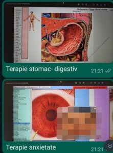 Stare generală alterată