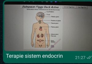 Stare generală alterată