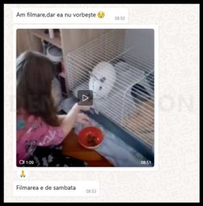 terapie prin biofeedback