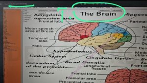 terapie prin biofeedback