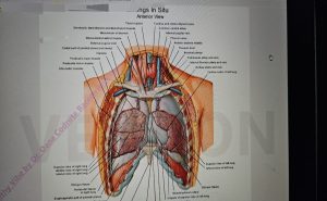 viroză respiratorie
